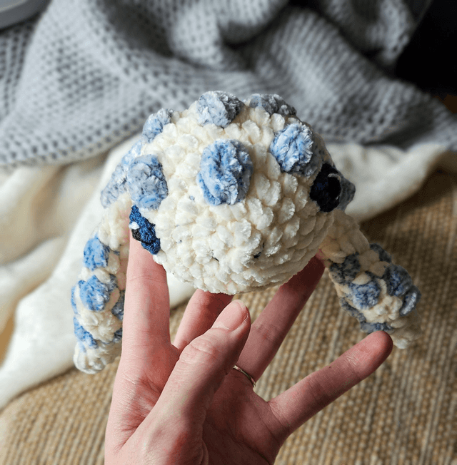 La Tortue Terri